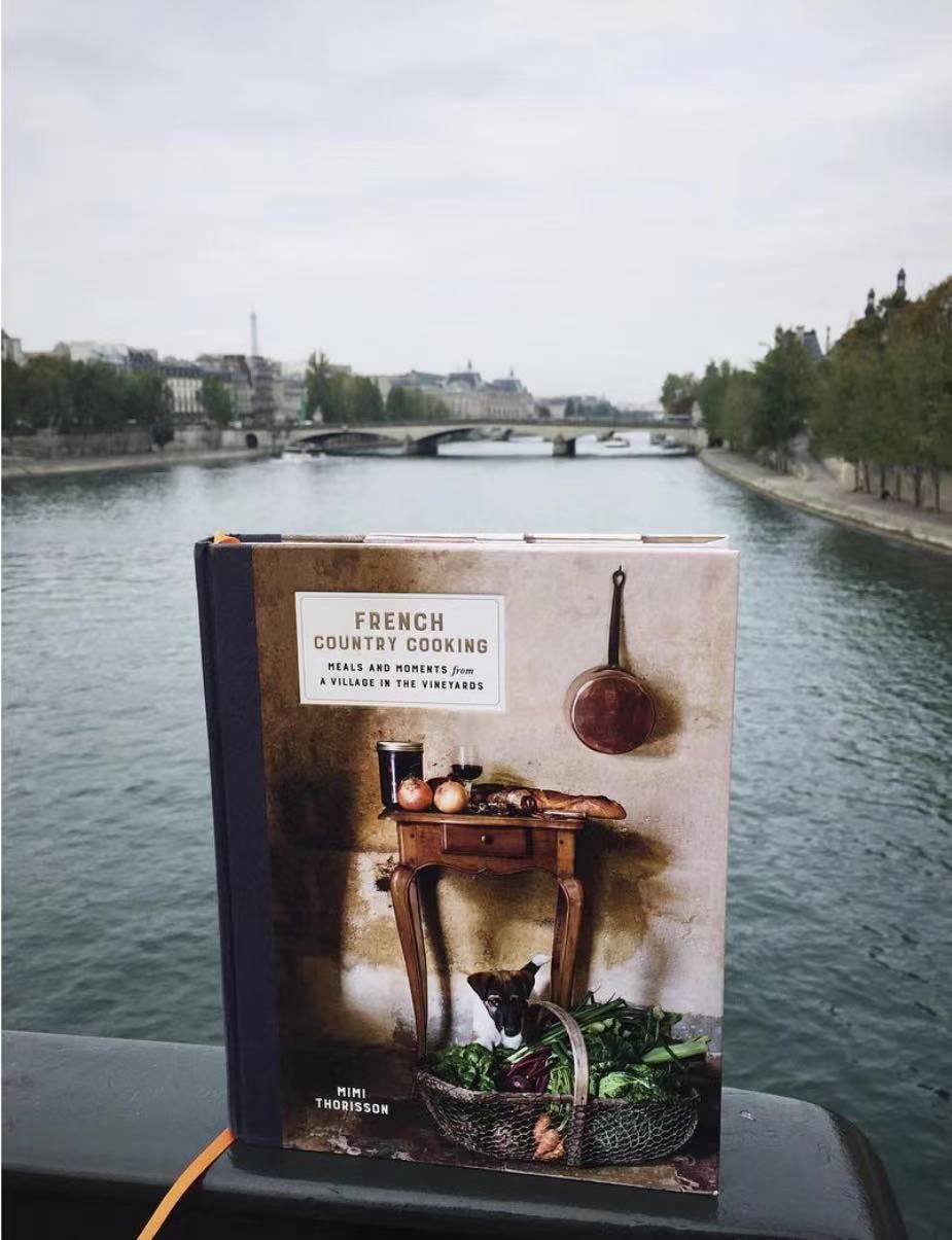 养十几只狗狗博主,网红养小土狗日常