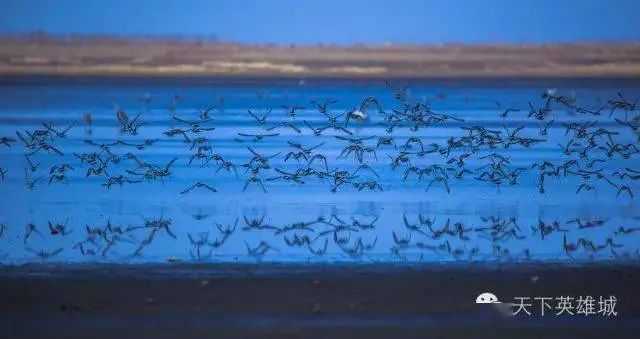 南昌冬天最好玩的地方是哪里,南昌冬天好玩的地方推荐