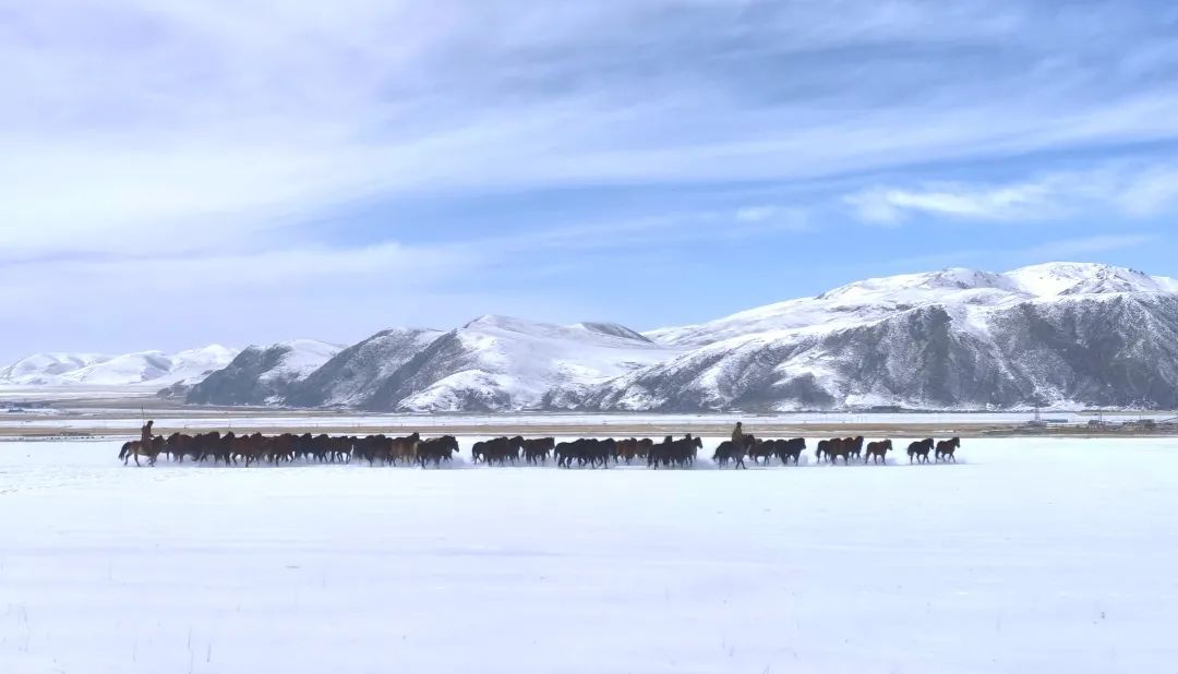 兵哥哥骑马帅气,兵哥哥骑马最有霸气
