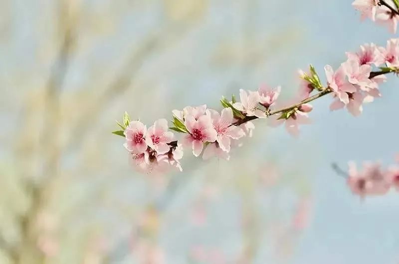 《读你，是我永远的惦念》---致敬互助公安微信公众号