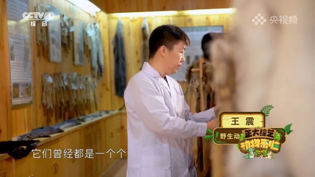 谁是动物界的“最强甩干机”？今天18:00档，CCTV-1《正大综艺·动物来啦》为你揭晓→