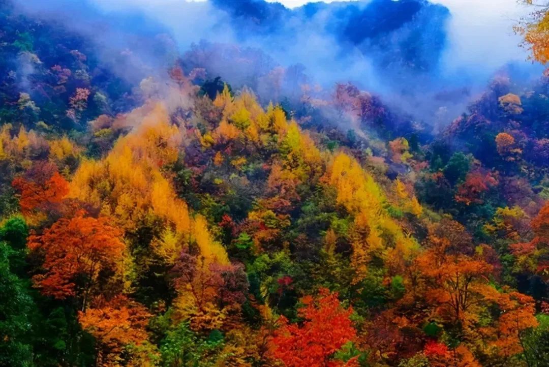 曲江也有星座？没错，是你2G了！