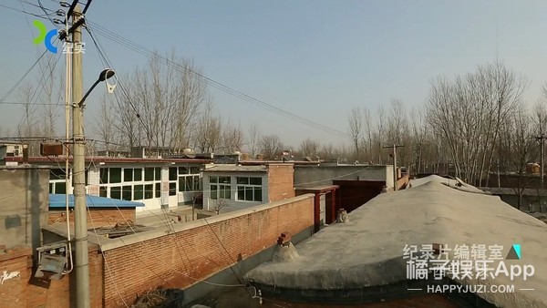 西单女孩任月丽个人简历,西单女孩任月丽的成名史