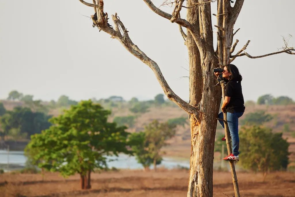 用改变世界的决心去改变自己,寻找未来的最优解