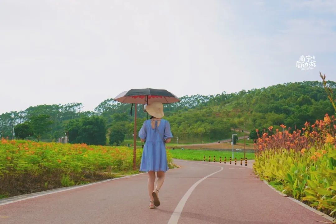 南宁合适一日游攻略,南宁免费玩的地方