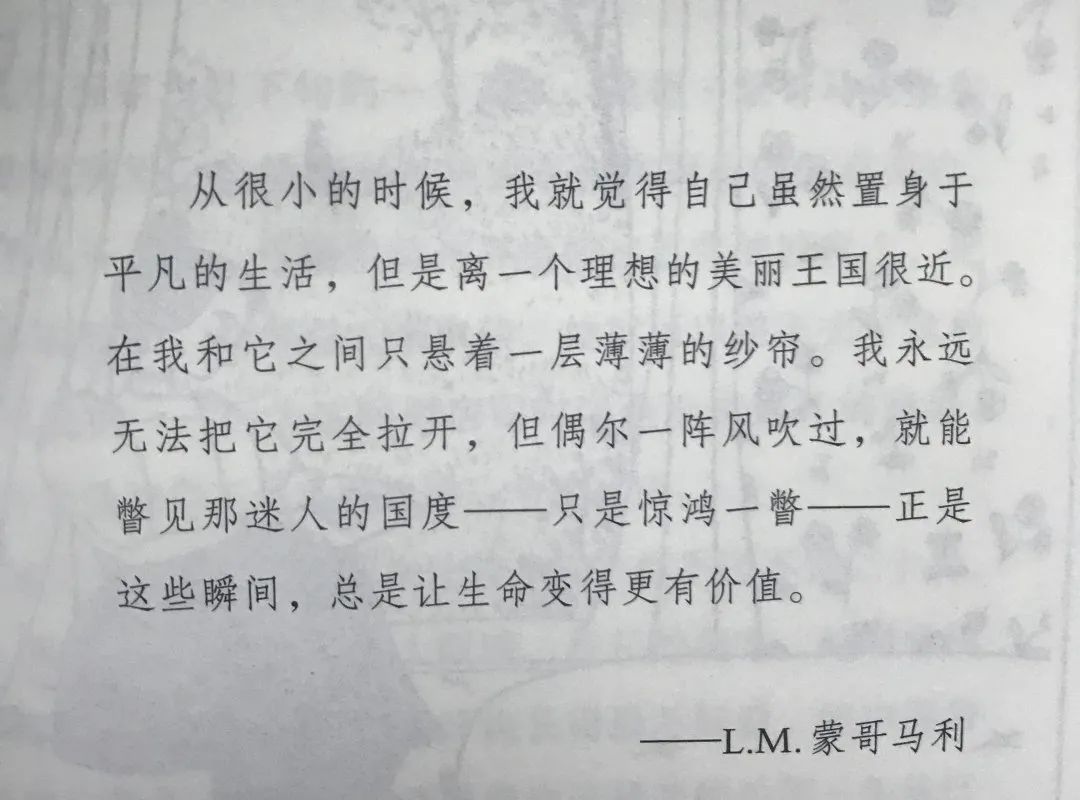 直到最后依旧是你的美好句子,直到最后才明白某些东西的意义