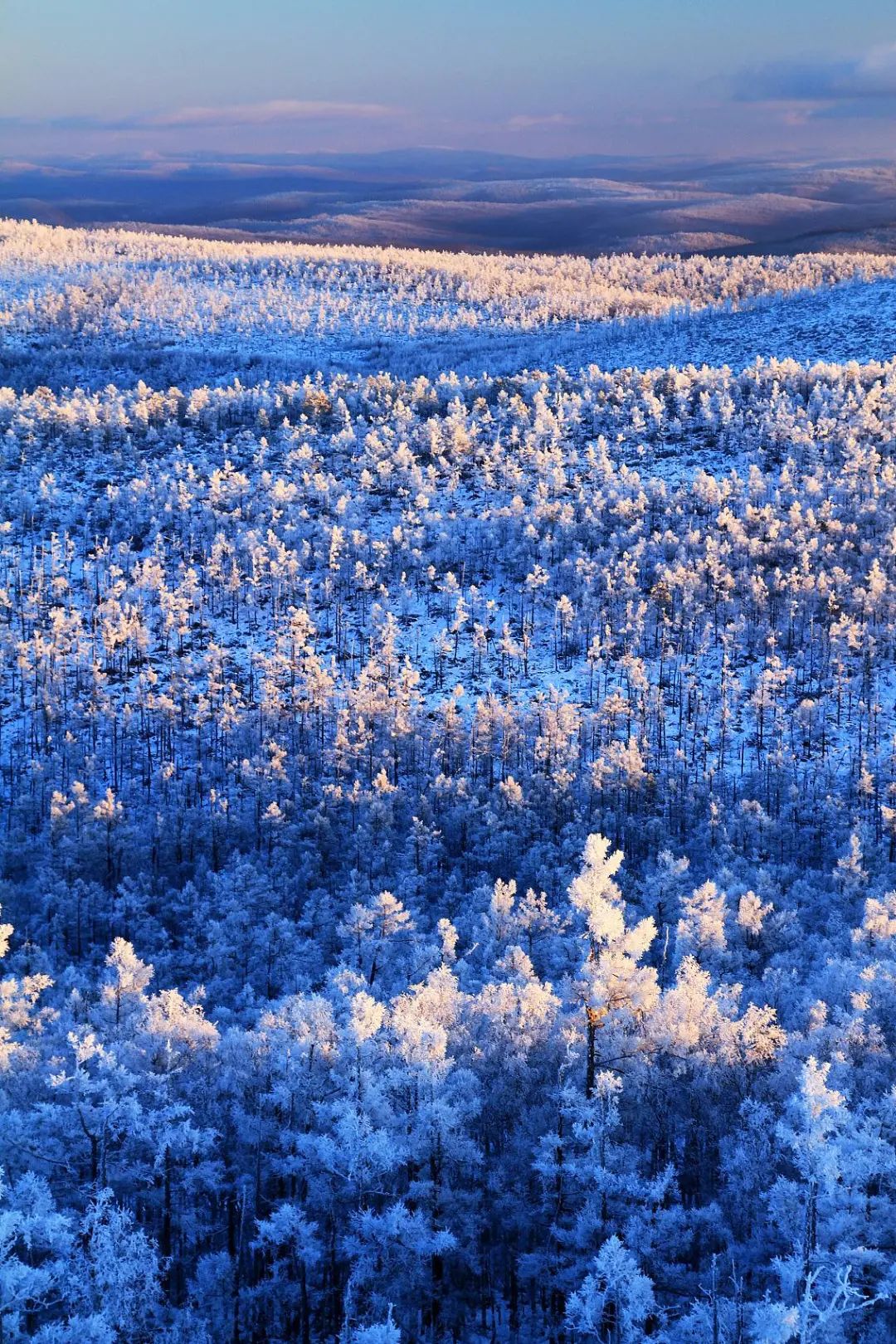 南方人合适哪里滑雪,北京合适初学滑雪的雪场