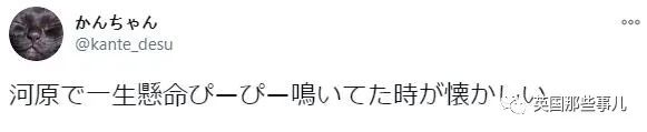 捡到小奶猫变身成男神,捡回来的小奶猫