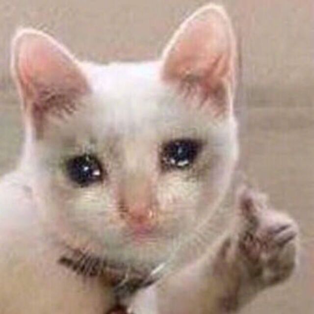 趣读丨淘宝不就能买到？出国咋成了明星呢？