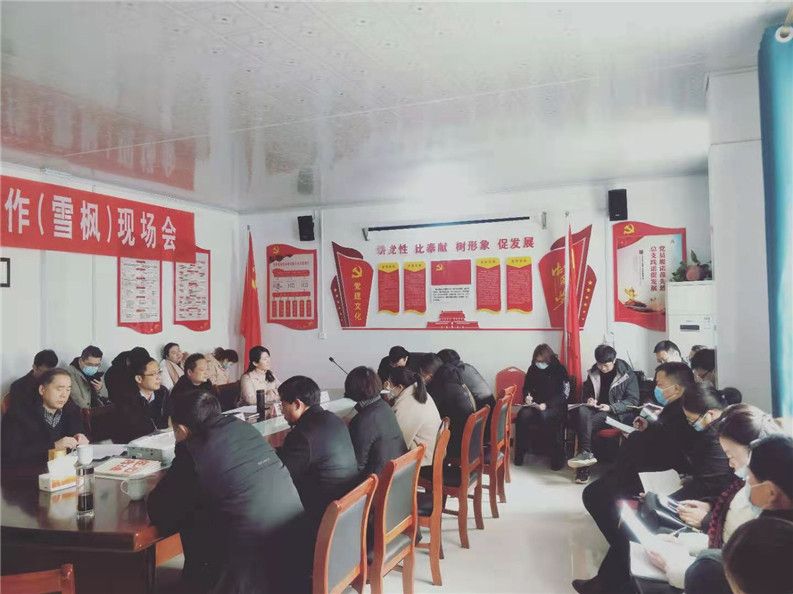 机遇蕴含精彩，合作铸就辉煌——镇平县召开电商工作（雪枫）现场会