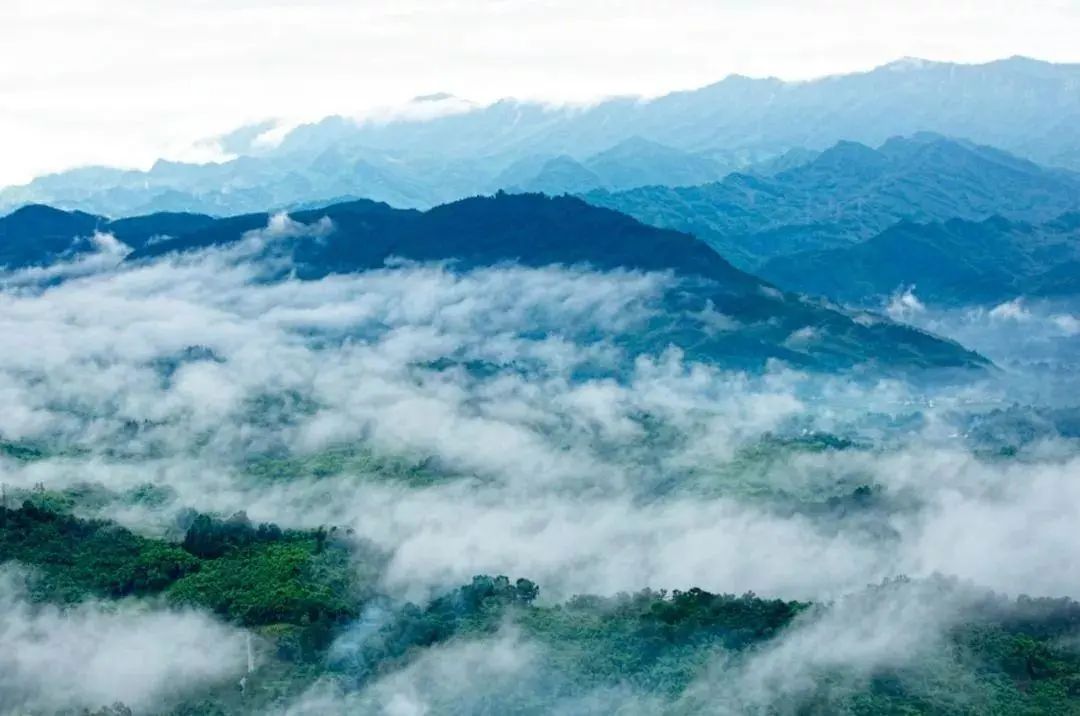 春节成都打卡旅游地,春节期间成都哪些地方值得一游