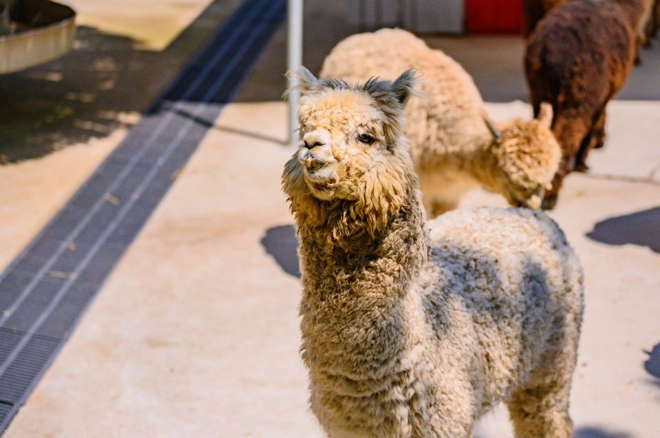 威海宝藏海岛旅游攻略,威海旅游打卡必须去的地方