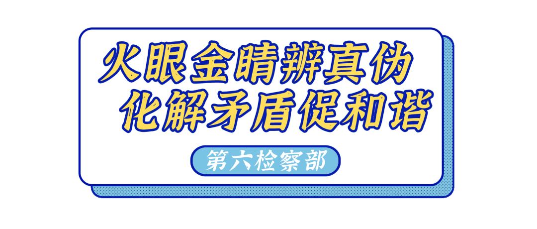 回顾与展望|第六检察部：火眼金睛辨真伪化解矛盾促和谐