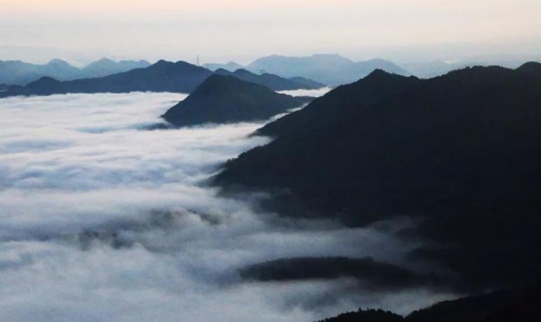 打卡好西乡！桃花胜*光春**，佳人已成双