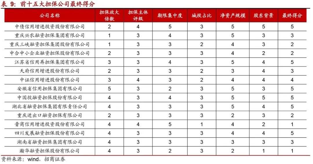 如何评价担保公司靠谱,怎么认定担保公司担保能力下降