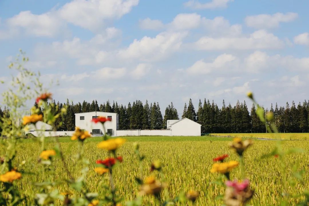 曹路新发展,宜学曹路
