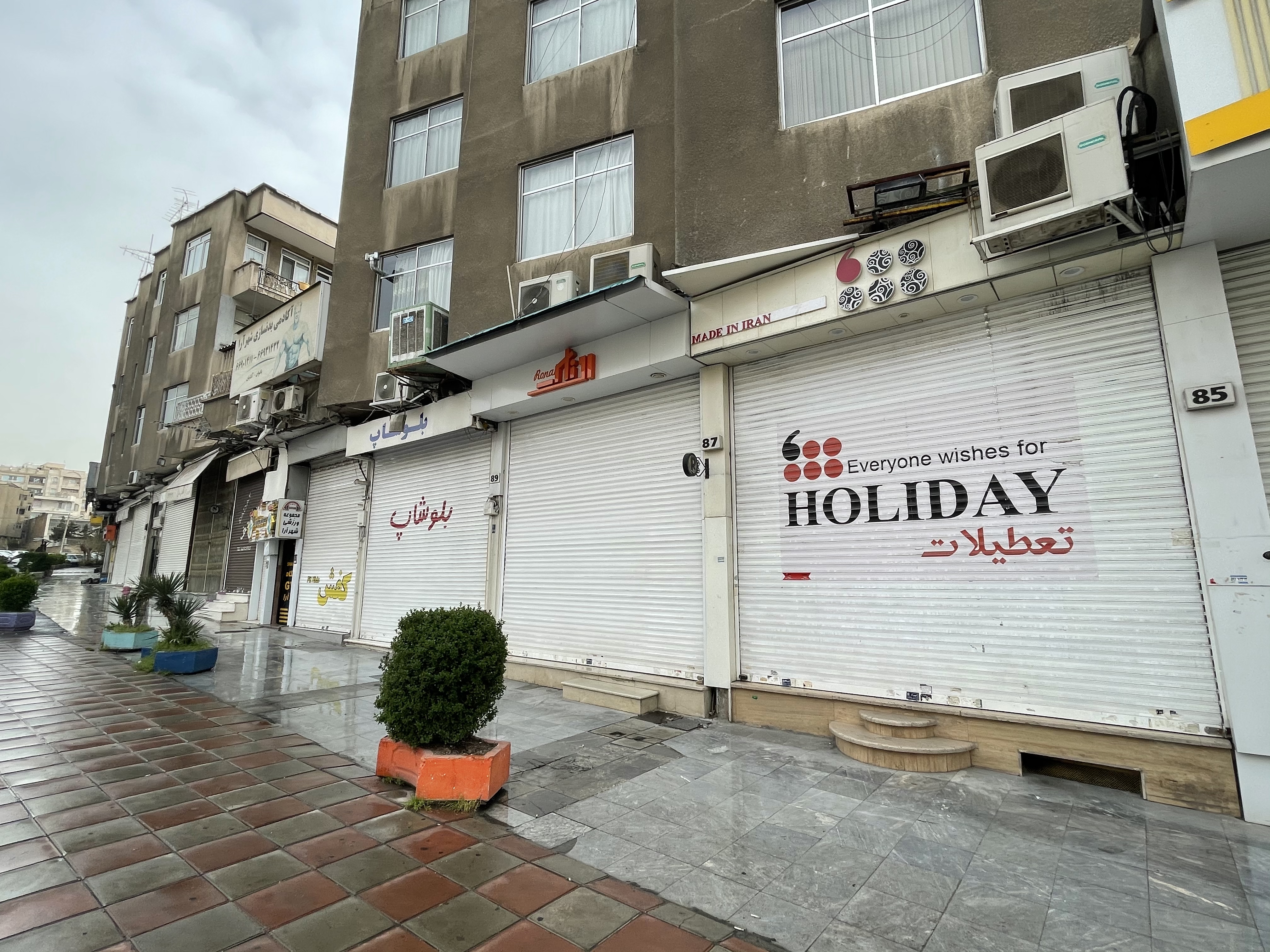 驻外手账|买金鱼、备“七鲜”，伊朗人这样过新年