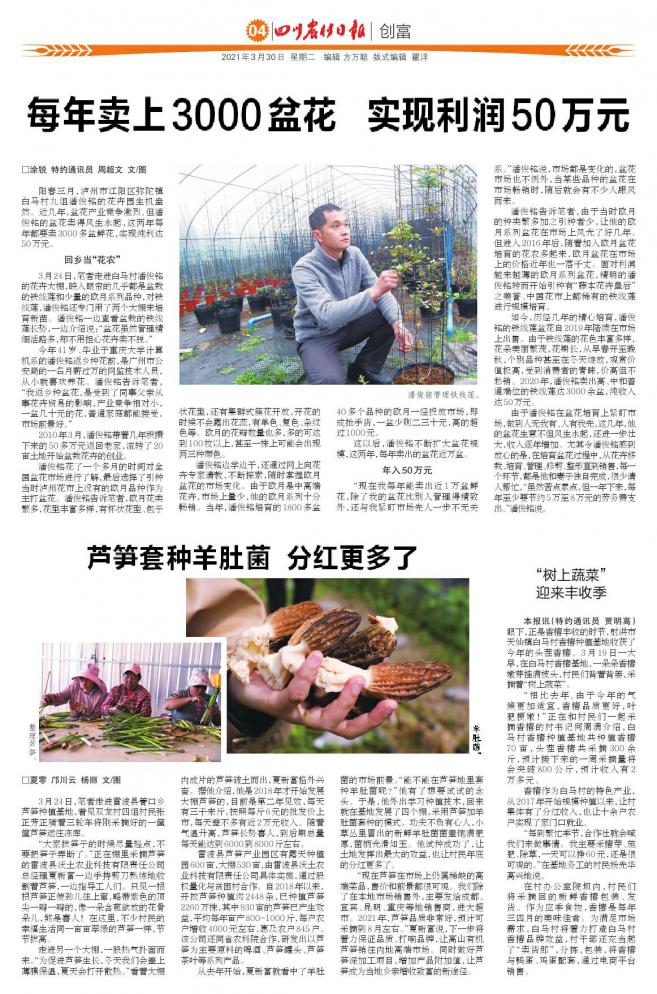 绿植利润大还是盆花利润大,仿真盆花零售利润咋样