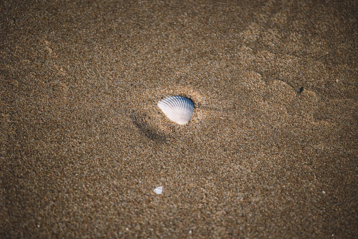 佳能efs18-200mm拍照,佳能微单70-200mm2.8镜头测评