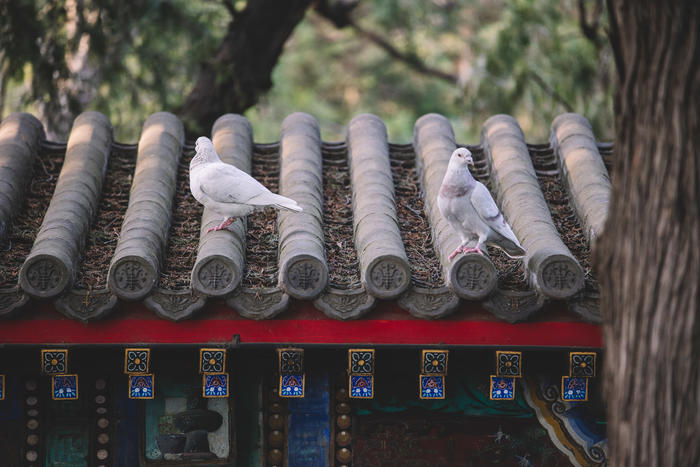 佳能efs18-200mm拍照,佳能微单70-200mm2.8镜头测评