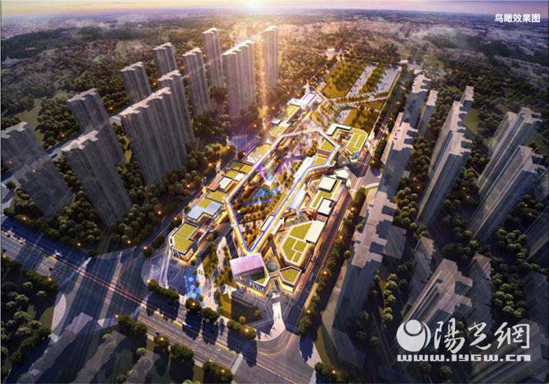 三大定律告捷秘诀,三大定律金蝉定律