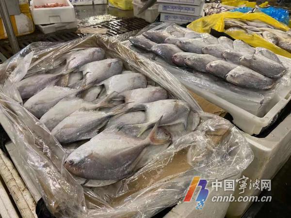 今起“热气货”海水产不能卖了宁波市场监管开展伏休执法检查