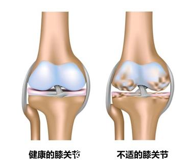 雀巢怡养健心中老年奶粉的功效,雀巢怡养守护健心中老年奶粉