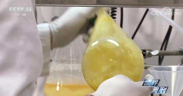 德堡到底藏着什么不可告人的秘密,世界周刊德堡黑幕观后感