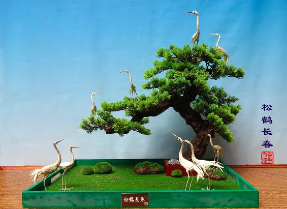 南天竹编织盆景,竹丝能够做成哪些成品