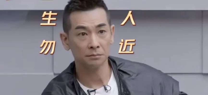 赵文卓翻红的原因有哪些,赵文卓翻红甄子丹在何处