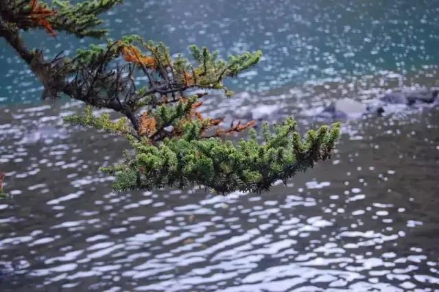 2020年10月3号雅康高速路况,雅康高速10月1号的路况