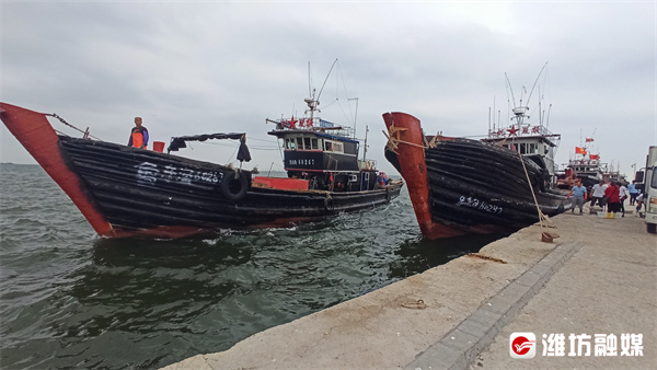 金秋十月稻谷满仓丰收的喜悦,丰收季节鱼满仓