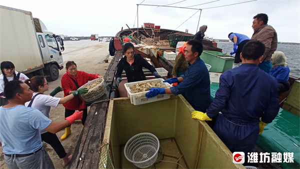 金秋十月稻谷满仓丰收的喜悦,丰收季节鱼满仓