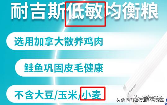 耐吉斯猫粮是怎么回事,耐吉斯有升级猫粮吗