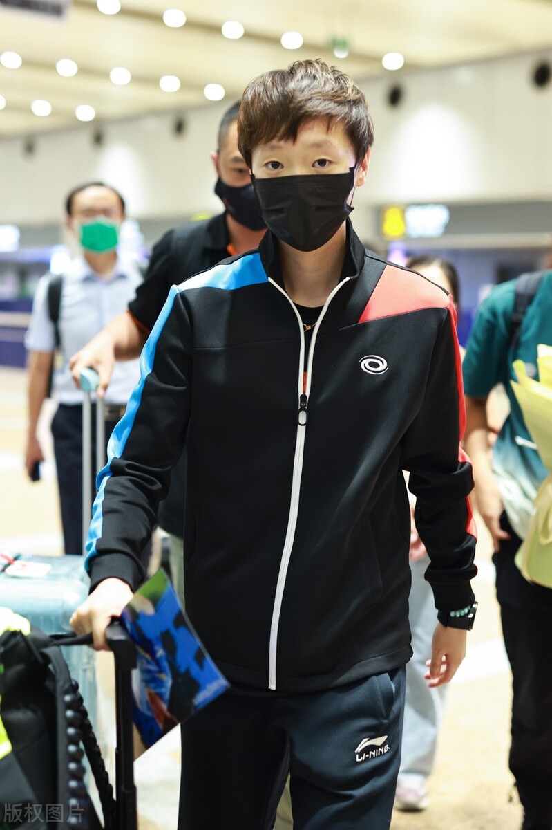 陈梦樊振东斯帝卡,陈梦王曼昱晋级女双决赛