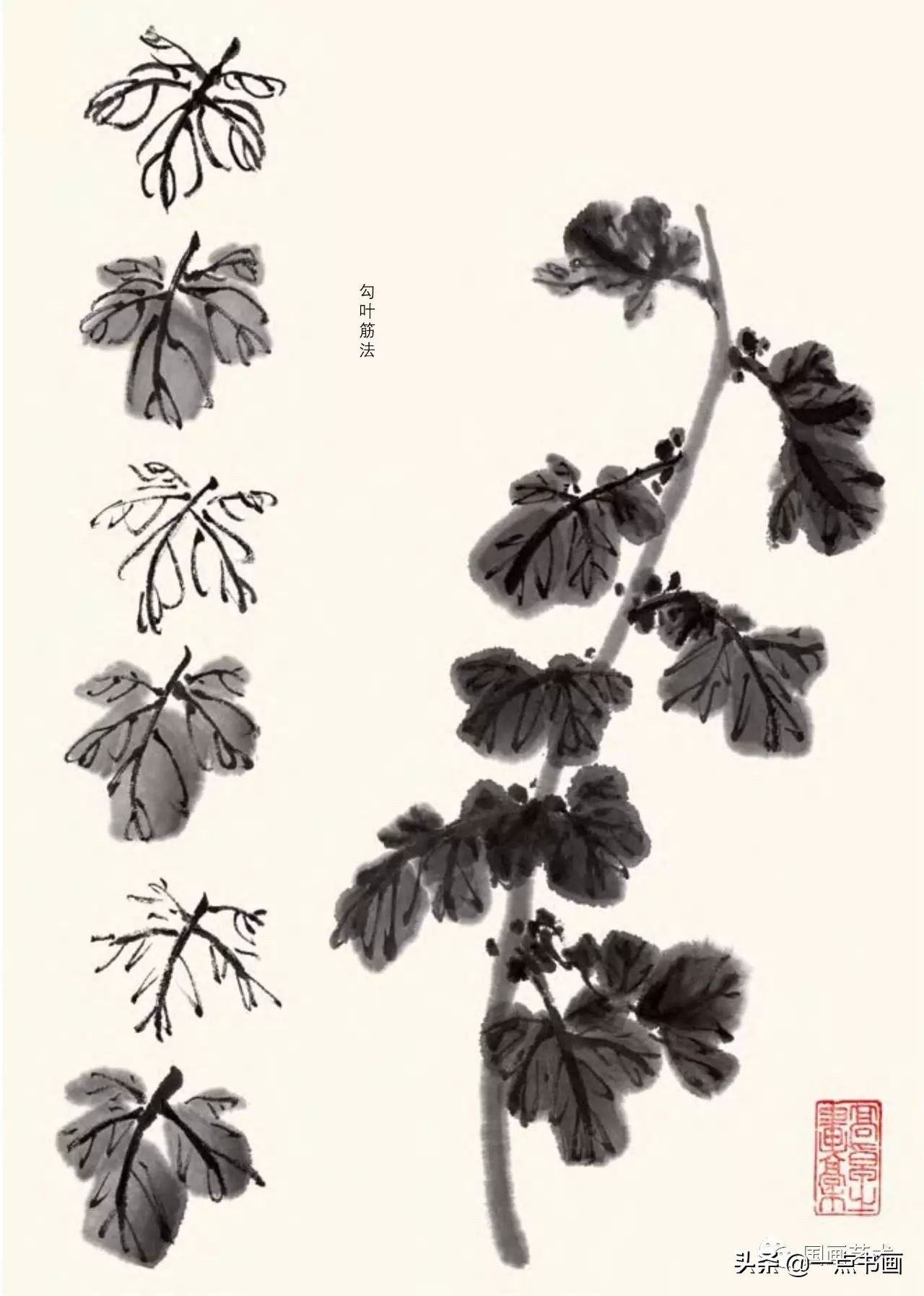 菊花画法教程简笔画,菊花拟人画法