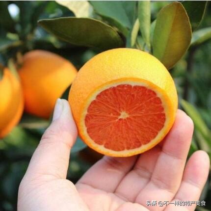 夏季清凉解暑水果,在夏天能够吃到解暑的水果有哪些