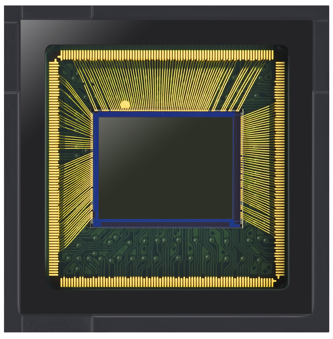 手机拍照也数毛，6400万像素GW1实测