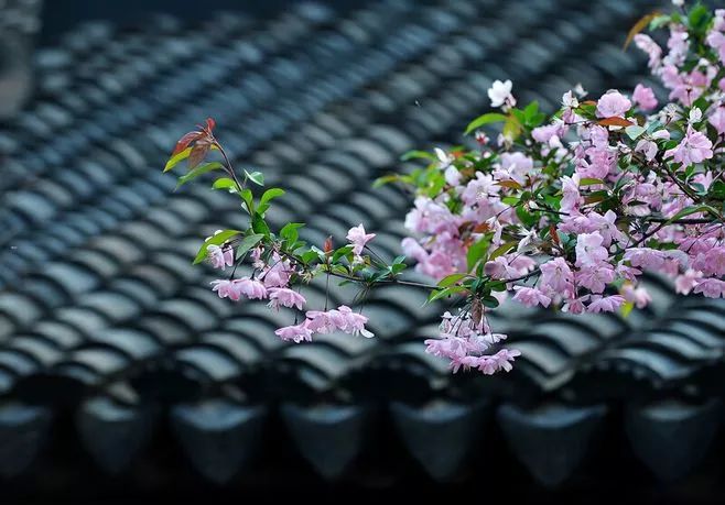 最稀奇的古怪的问题,13条稀奇古怪的问题