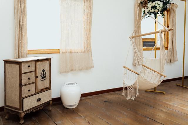 日本净化加湿器,能够净化空气的加湿器