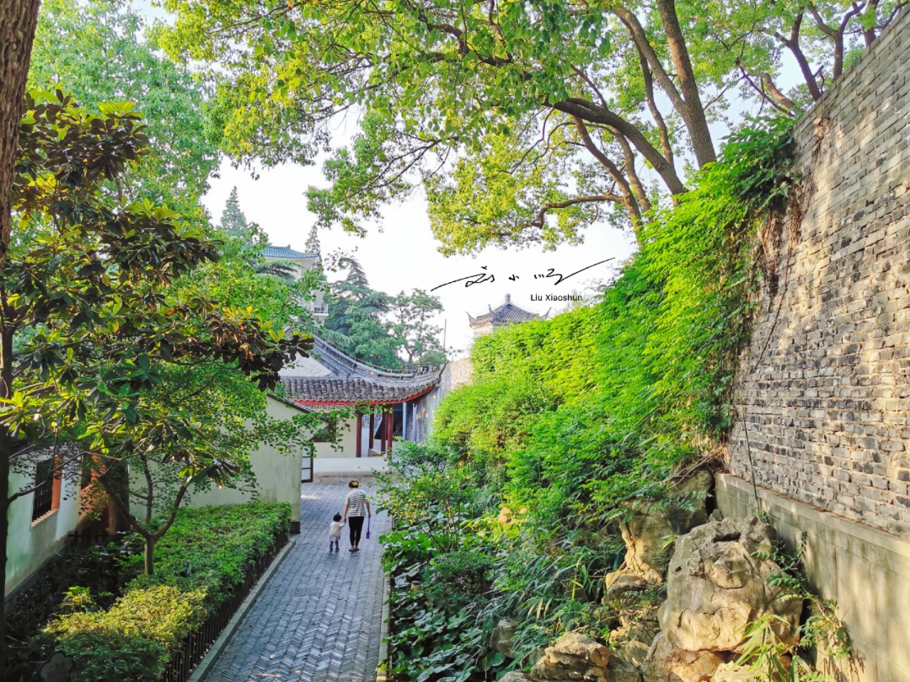 川沙古镇旅行记,川沙古镇五一假期