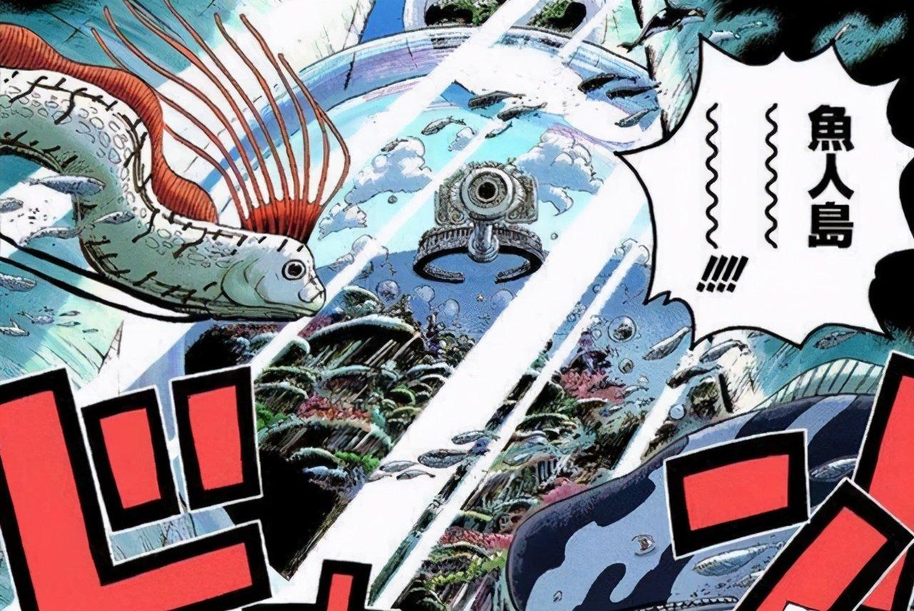 海贼王鱼人岛有多强,海贼王鱼人的恢复能力有多强