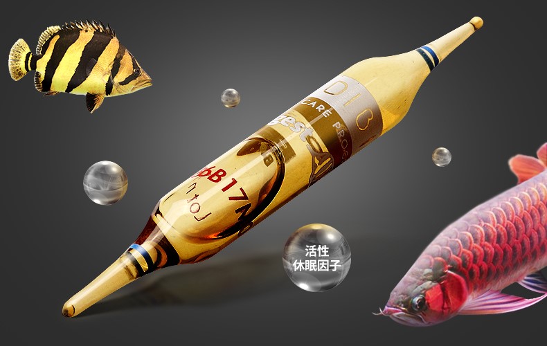 酸奶能够代替硝化细菌吗,鱼缸加酸奶能建立硝化细菌吗