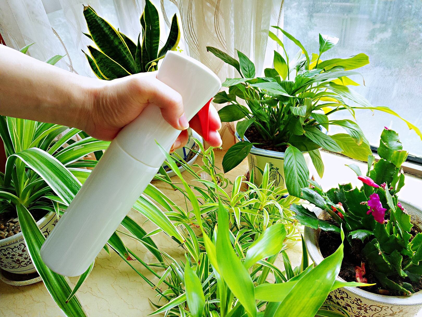 宜洁清洁,家庭清洁宜洁