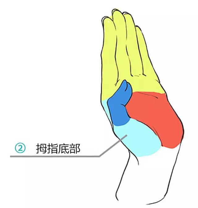 画动漫人物女生的手部教程,动漫人物的手怎么画简单又漂亮