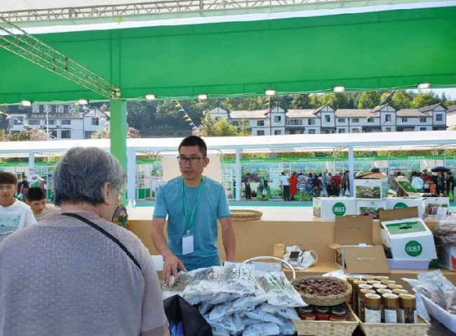 农产品电商怎么提速销售,农产品电商带动致富