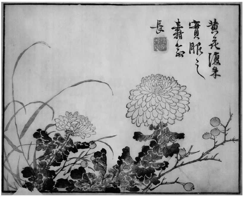 国画菊花的简单画法步骤图片,国画入门零基础自学画菊花