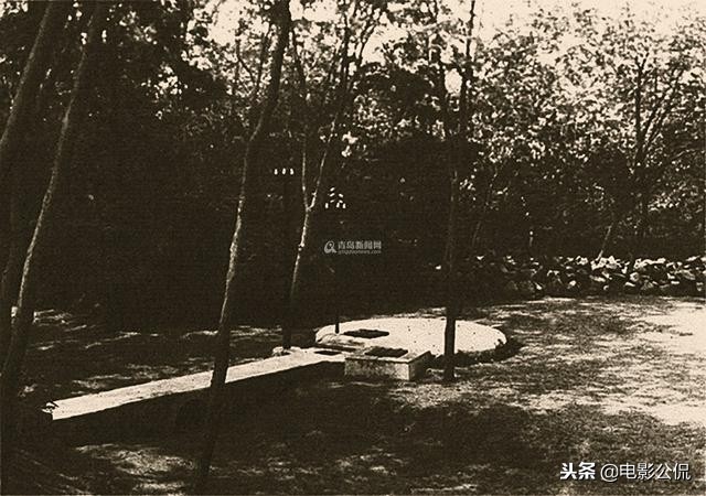 十大难喝饮料崂山白花蛇草水,最难喝的饮料崂山白花蛇草水测评