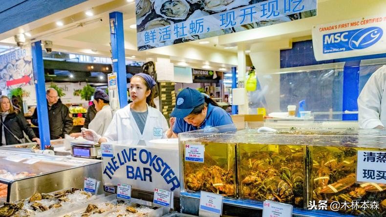 加拿大旅行日记,多伦多最佳生活日记