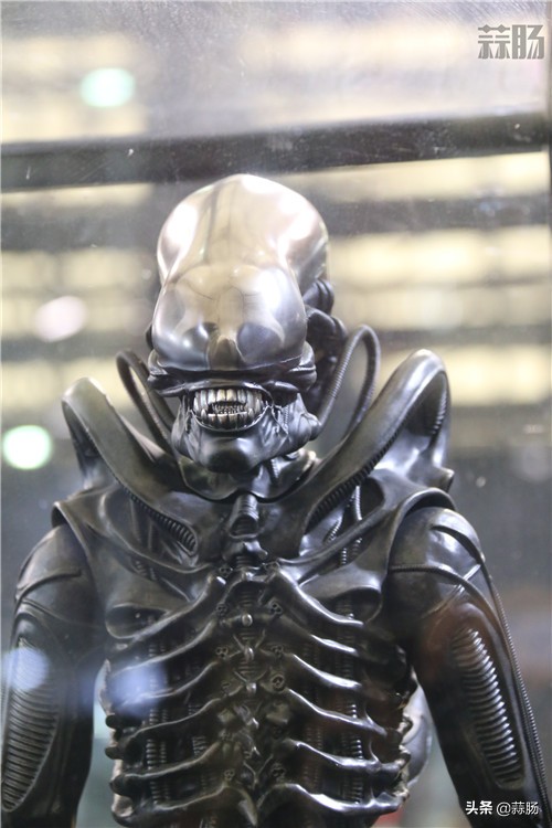 wf手办展飞天,wf上海限定手办